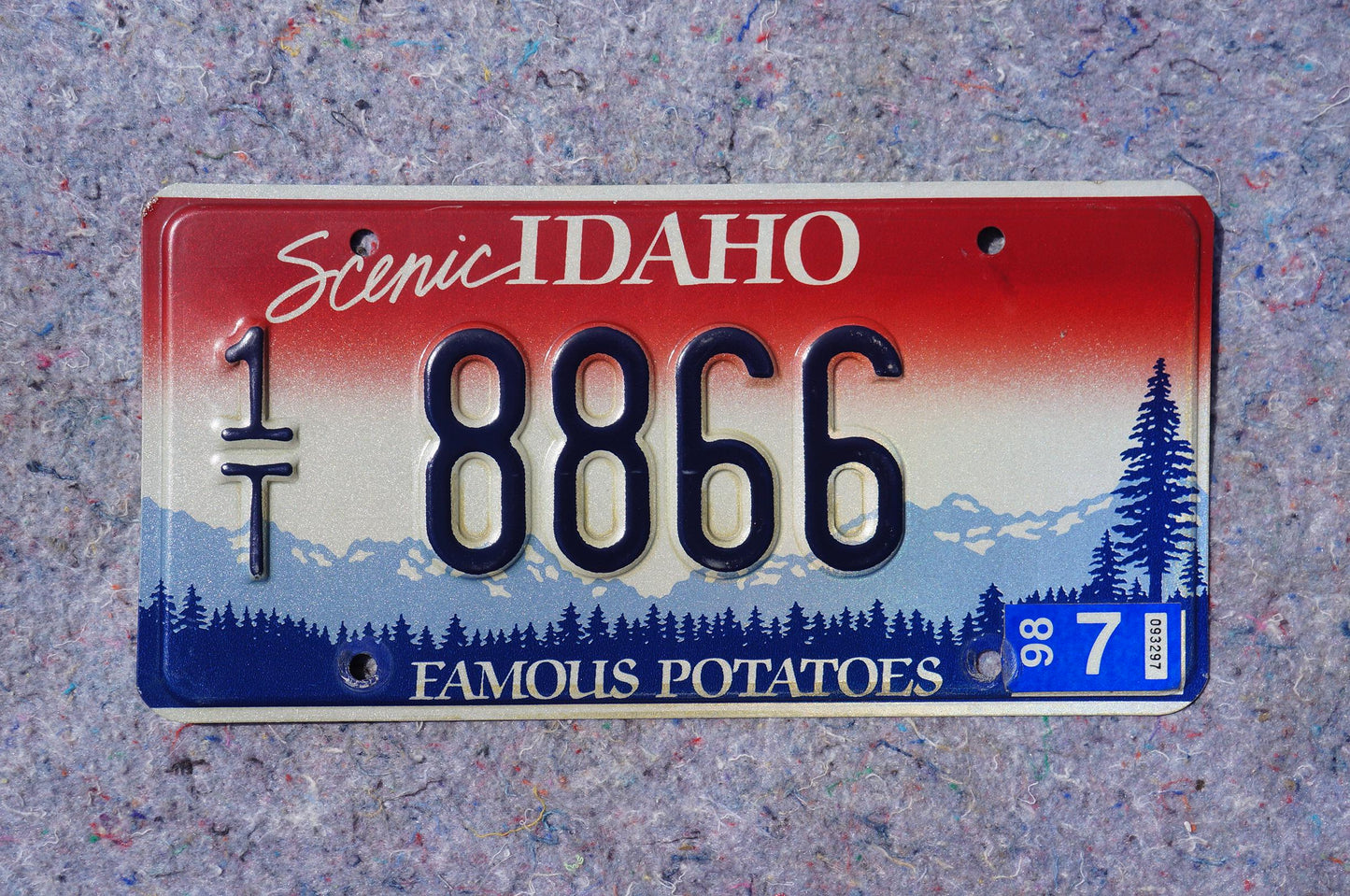 1998 Scenic IDAHO Embossed License Plate # 8866