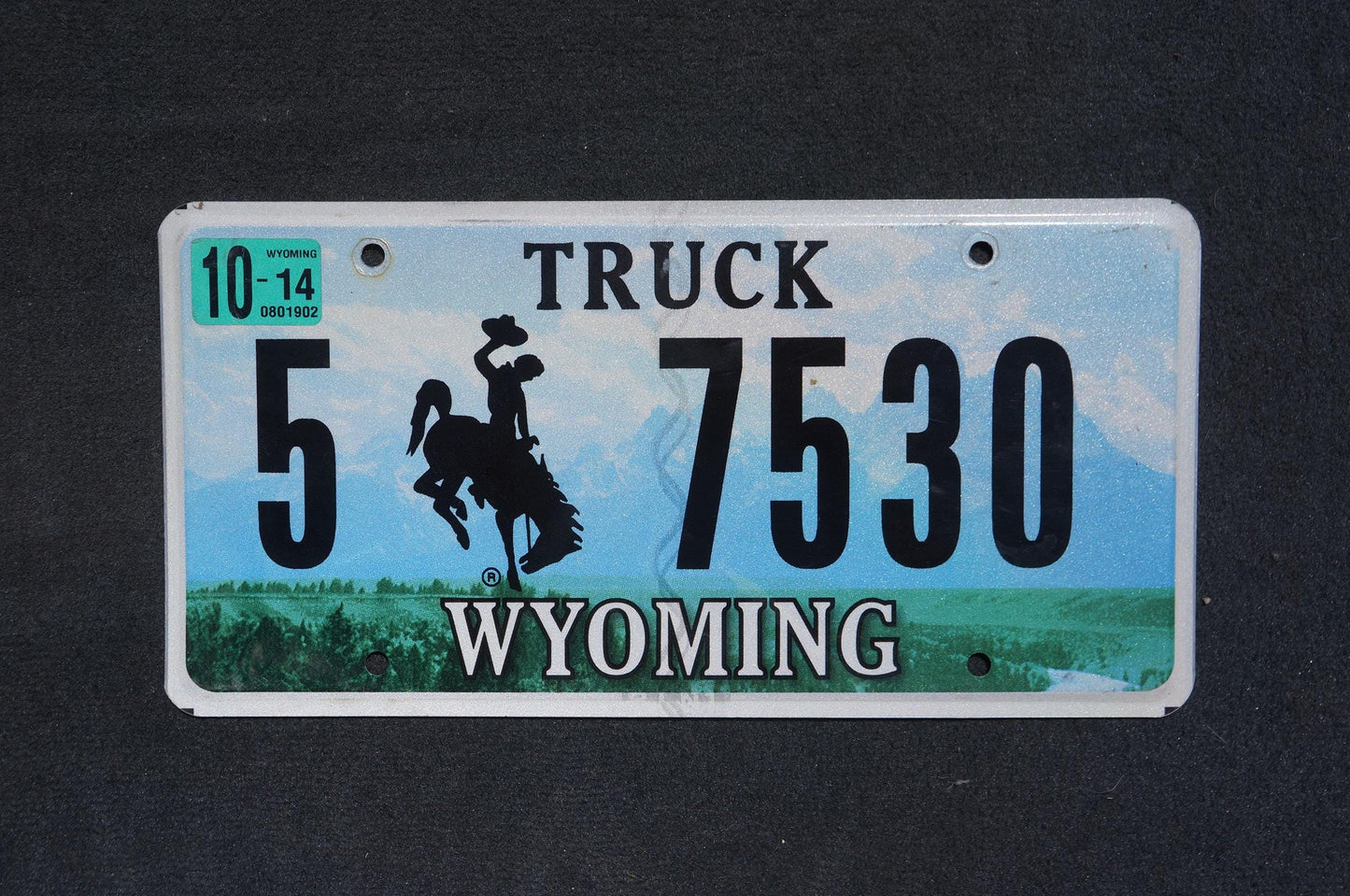 2014 Wyoming Truck Graphic Rodeo Cowboy & Horse Bucking Bronco Blue License Plate