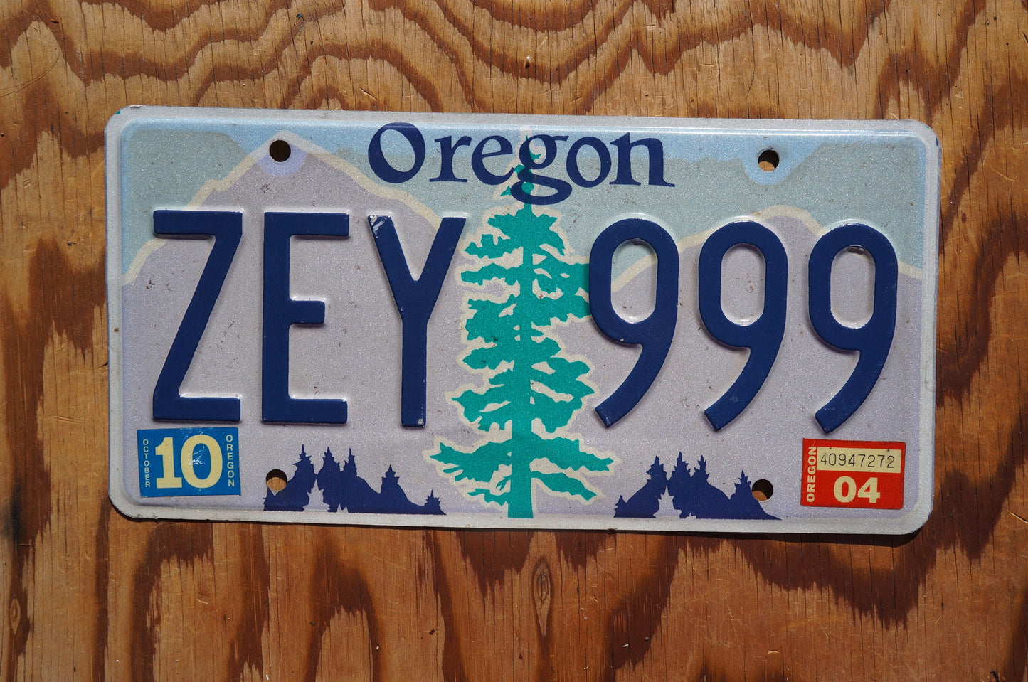 2004 Oregon License Plate # ZEY 999