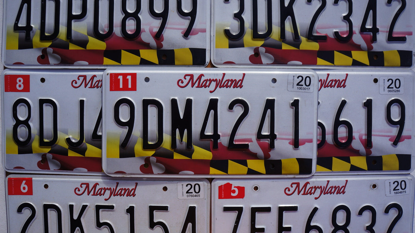 One or More - MARYLAND FLAG License Plate