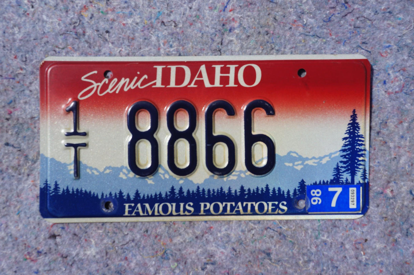 1998 Scenic IDAHO Embossed License Plate # 8866