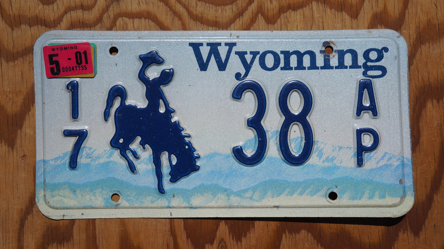 2001 Wyoming Rodeo Cowboy & Horse License Plate LOW # 38