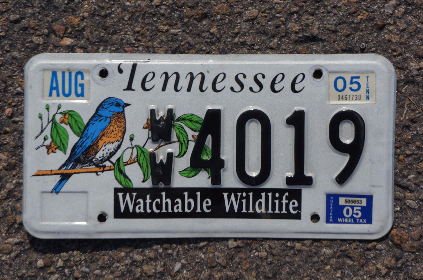 2005 Tennessee WATCHABLE WILDLIFE Graphic Colorful License Plate - Blue bird