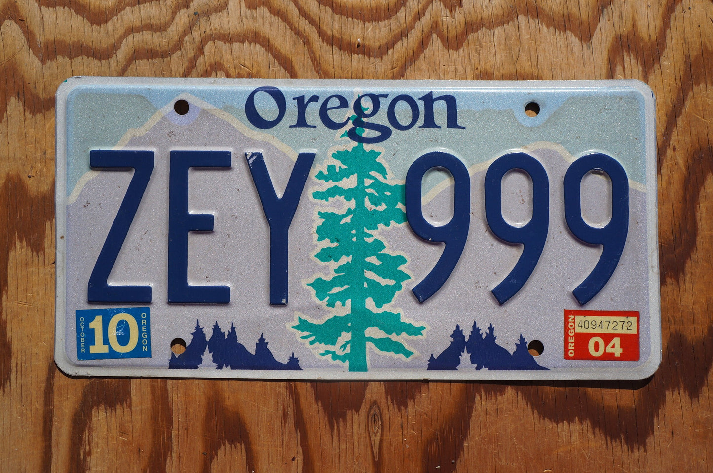 2004 Oregon License Plate # ZEY 999