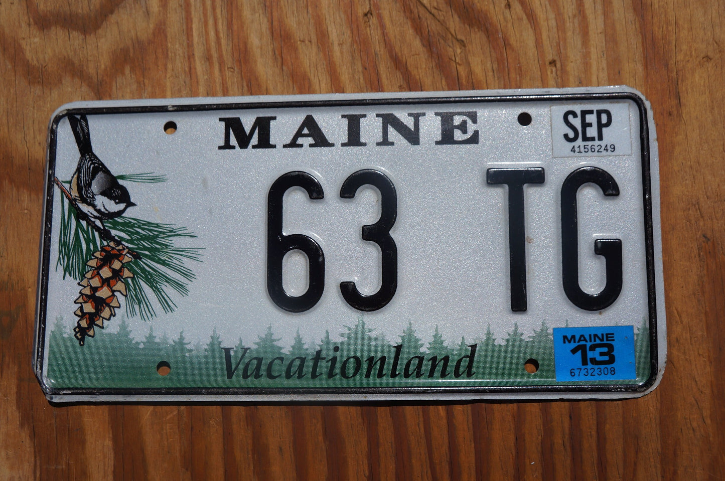 2013 Maine License Plate BIRD Pine Cone # 63 TG - Vacationland