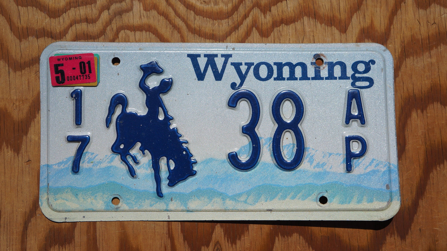 2001 Wyoming Rodeo Cowboy & Horse License Plate LOW # 38
