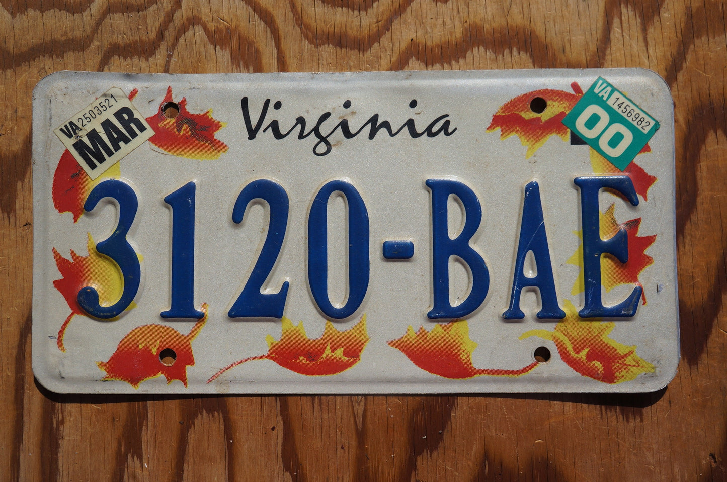 2000 Virginia Orange FALL LEAVES License Plate Autumn Decoration