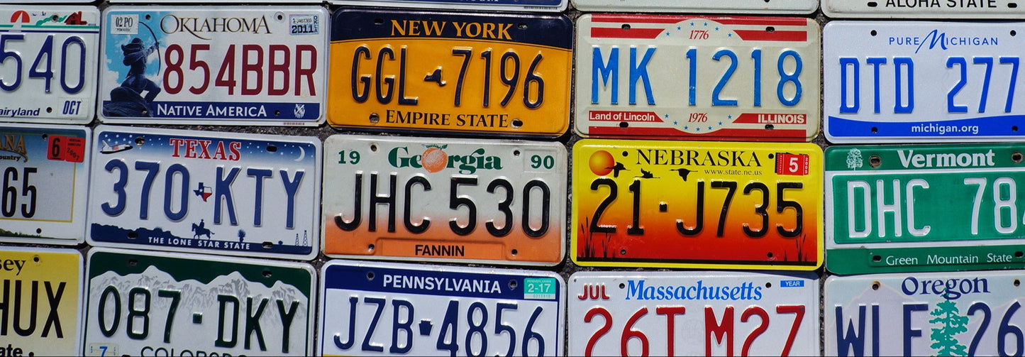 Authentic License Plate - ALL 50 STATES + Territories NICE License Plates Lot