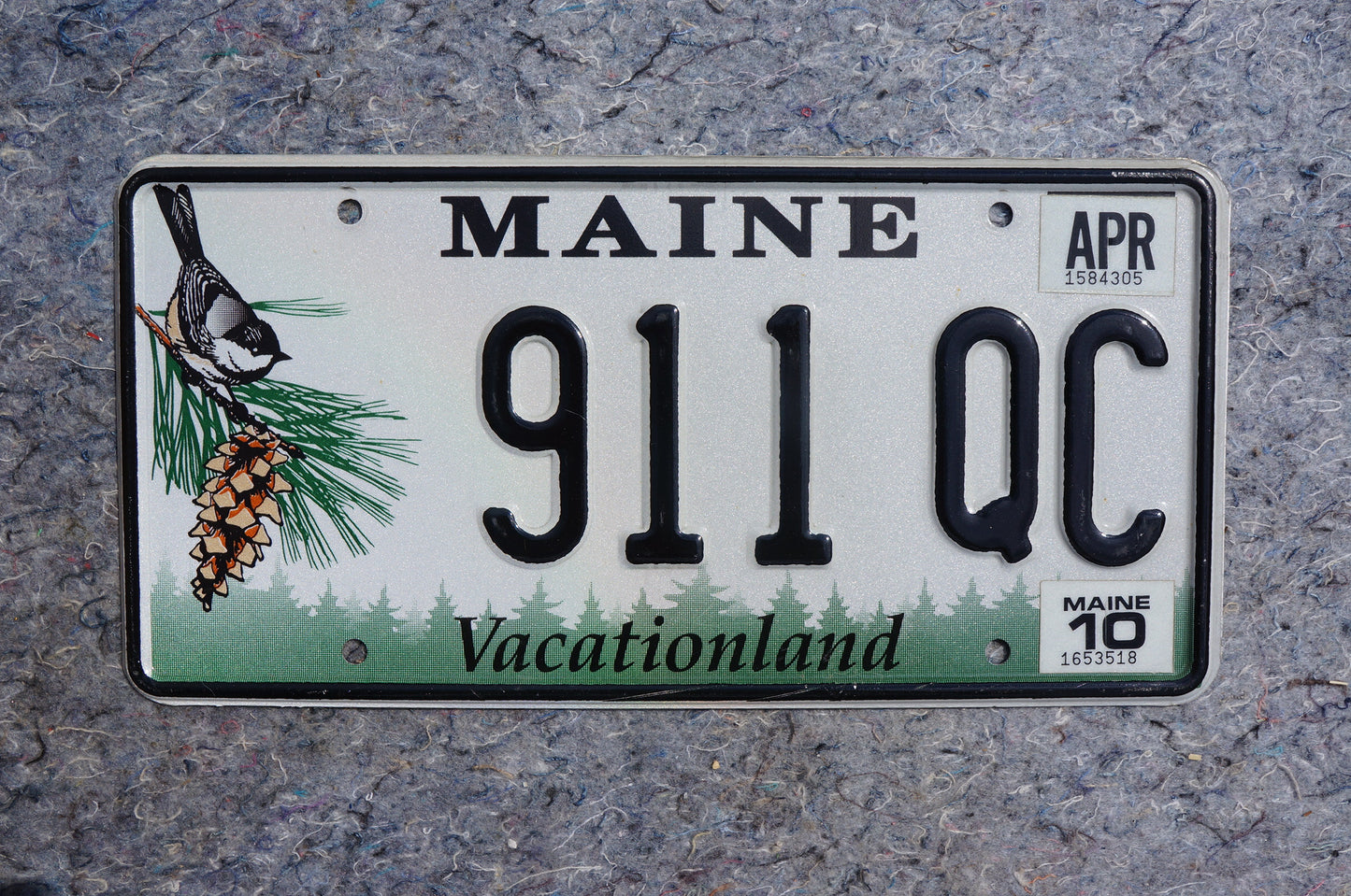 2010 Maine Pine Cone & Bird Graphic License Plate # 911 QC