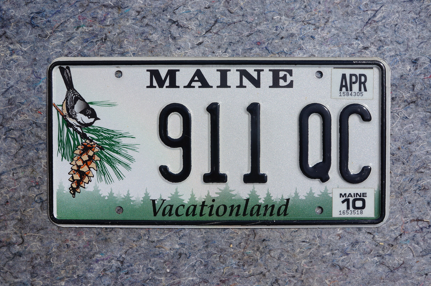 2010 Maine Pine Cone & Bird Graphic License Plate # 911 QC