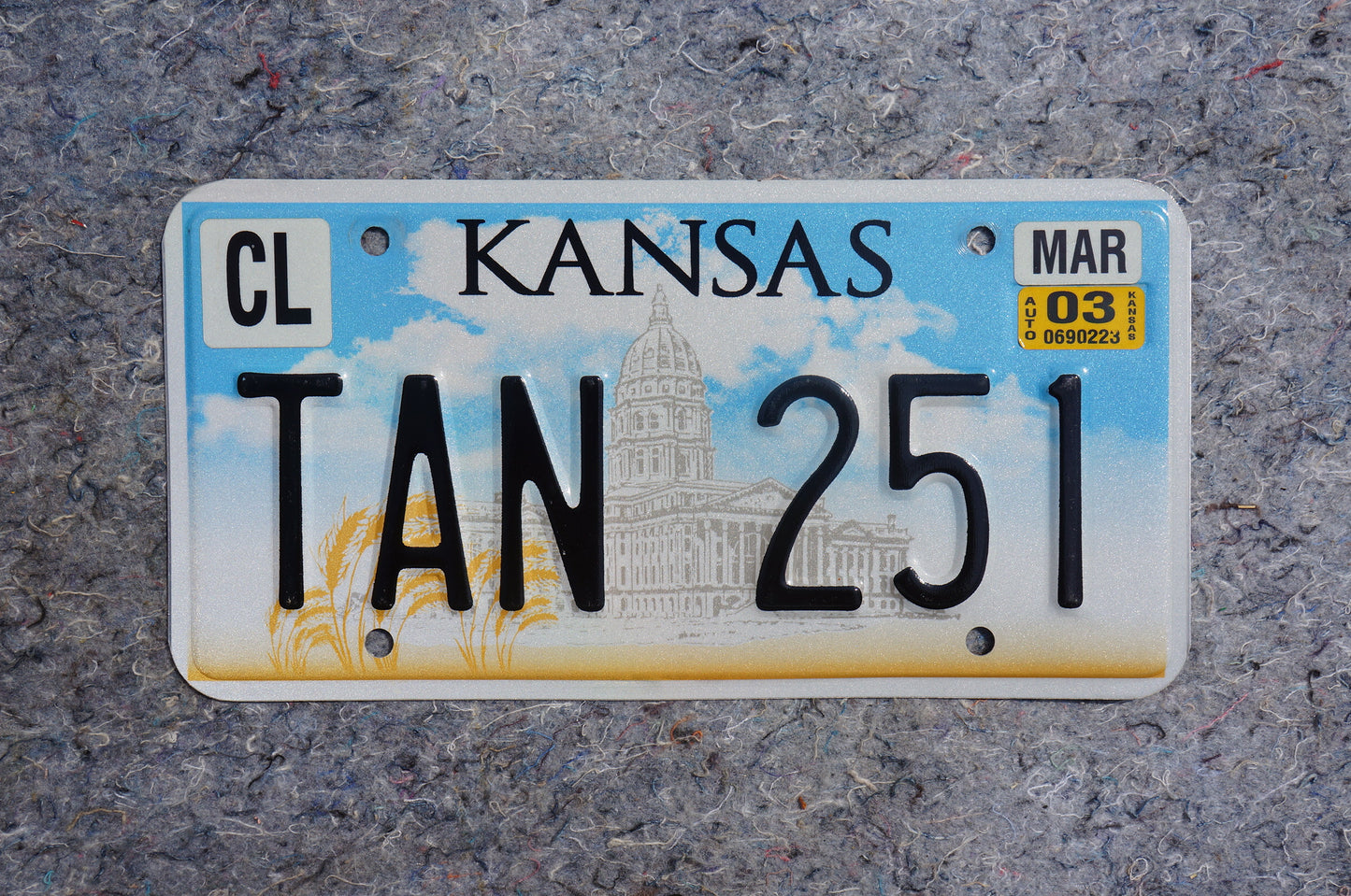 2003 Kansas License Plate # TAN 251