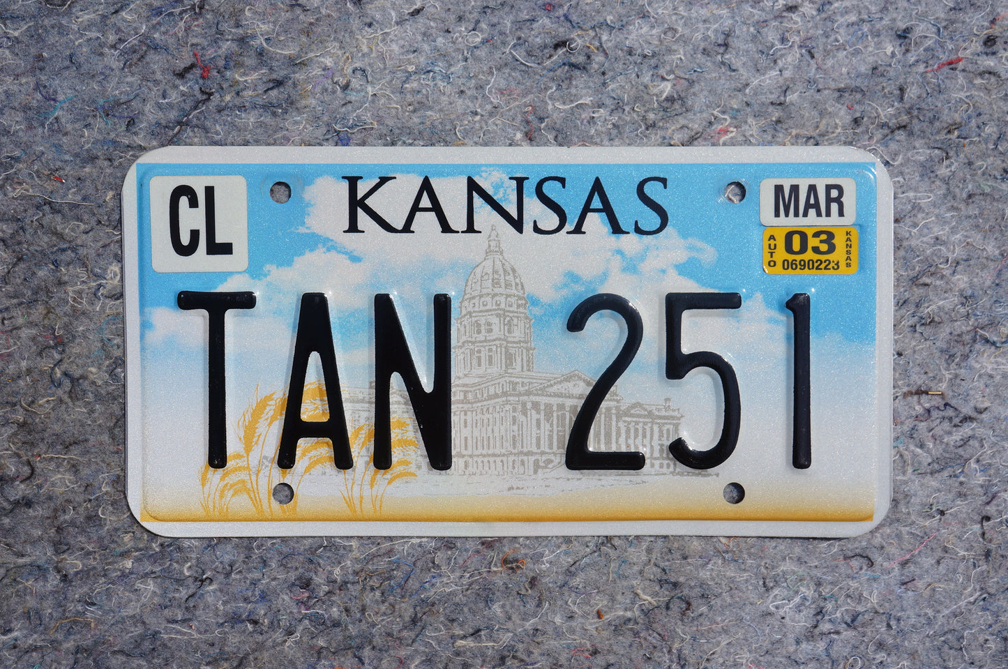 2003 Kansas License Plate # TAN 251