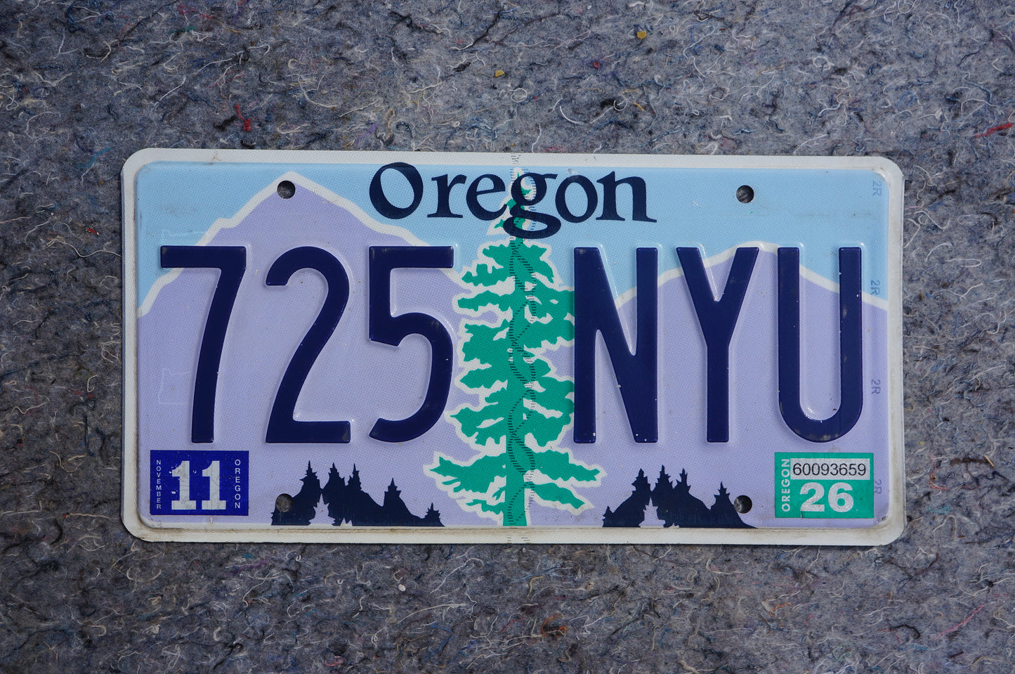 Oregon License Plate # 725 NYU