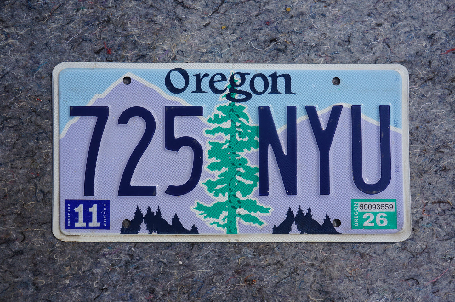 Oregon License Plate # 725 NYU