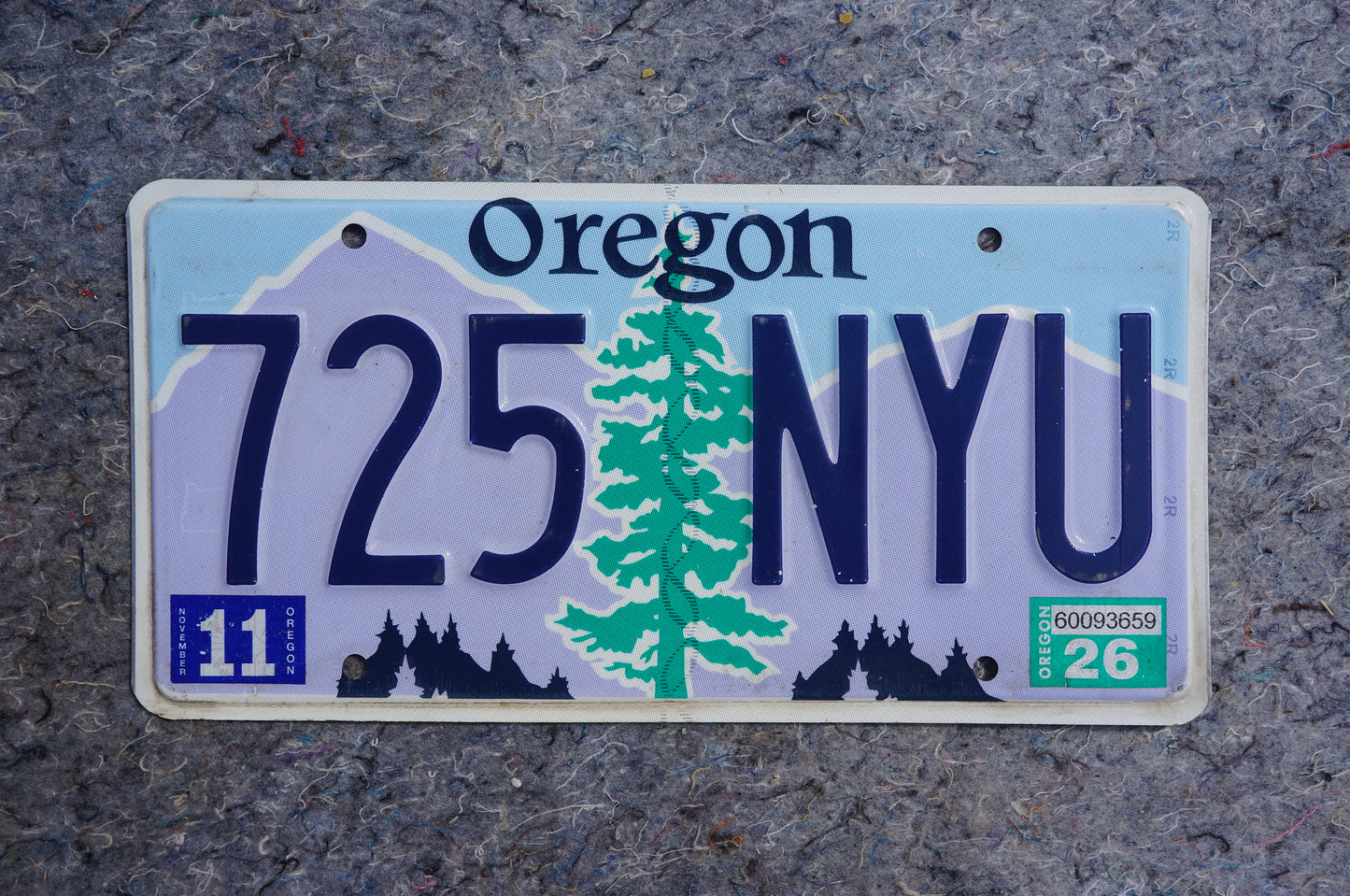 Oregon License Plate # 725 NYU