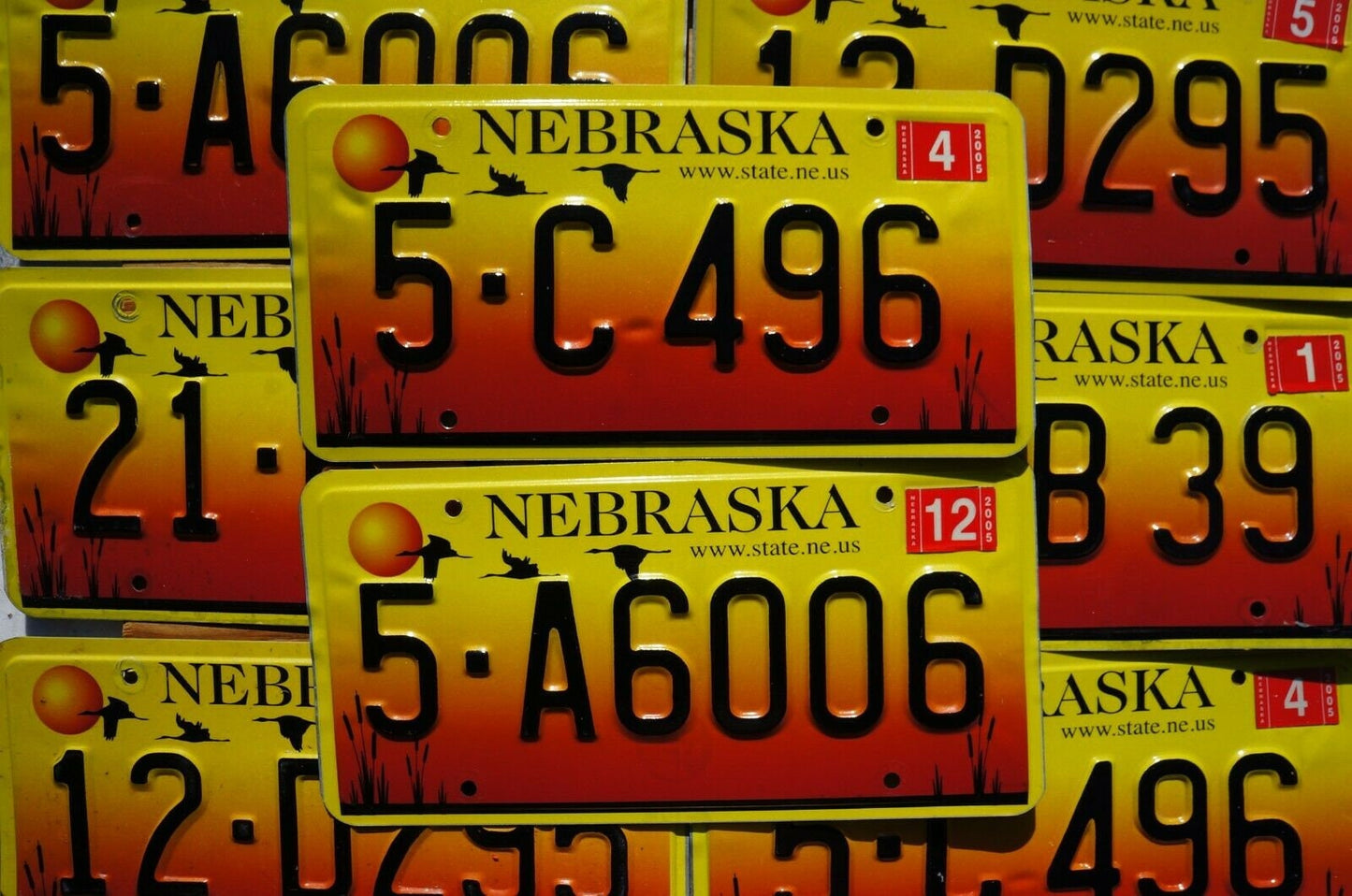 ONE OR MORE Nebraska Sand Hill Cranes Geese - Sunrise / Sunset License Plate