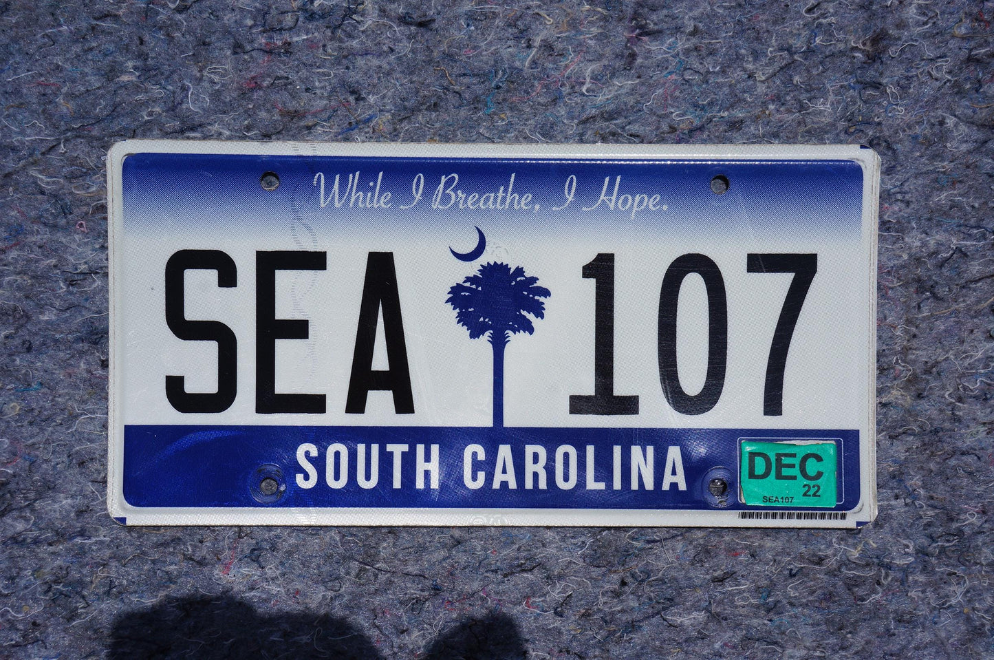 2022 South Carolina Palm Tree License Plate # SEA 107
