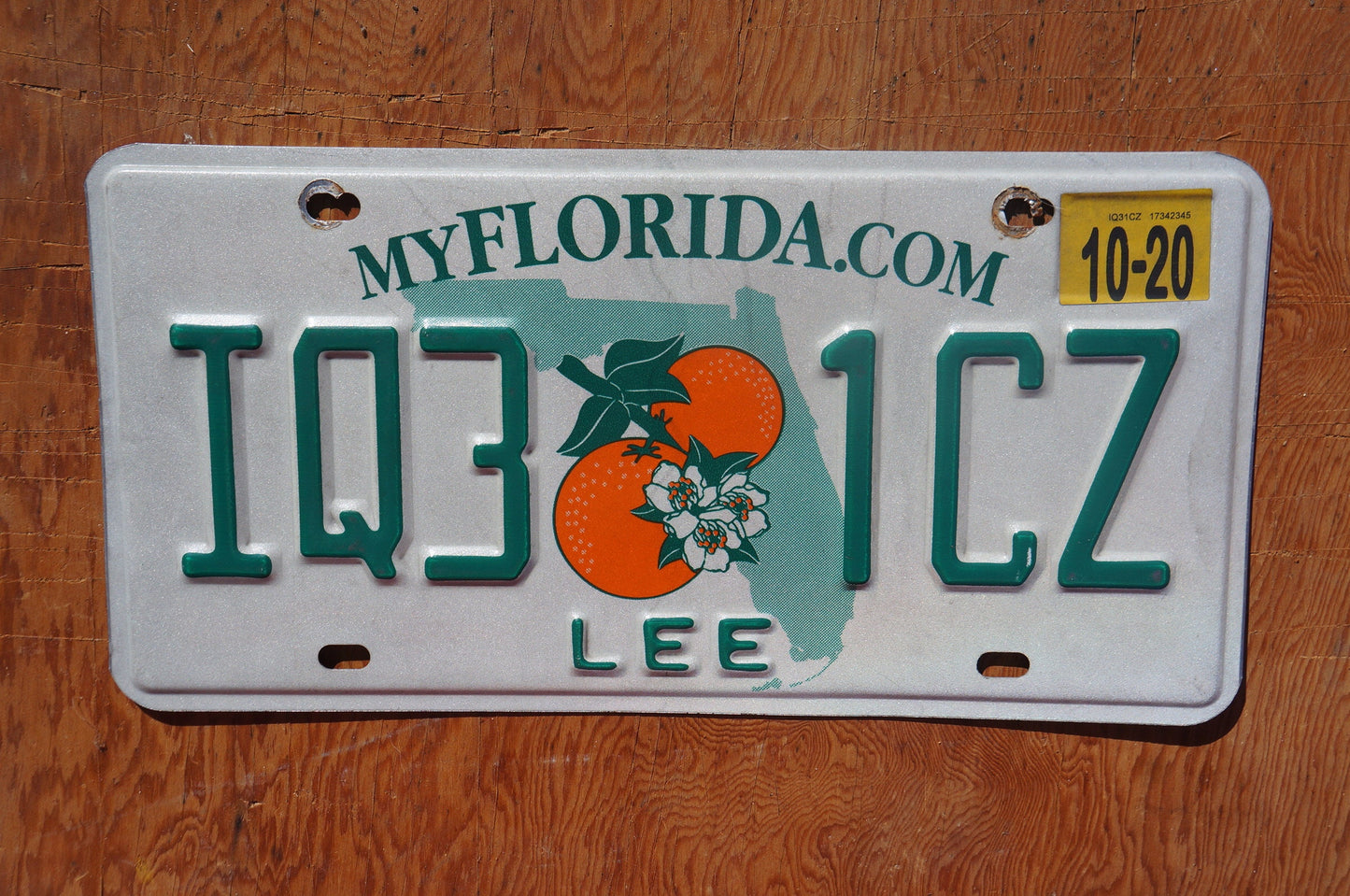 2020 Florida LEE County Double Oranges License Plate
