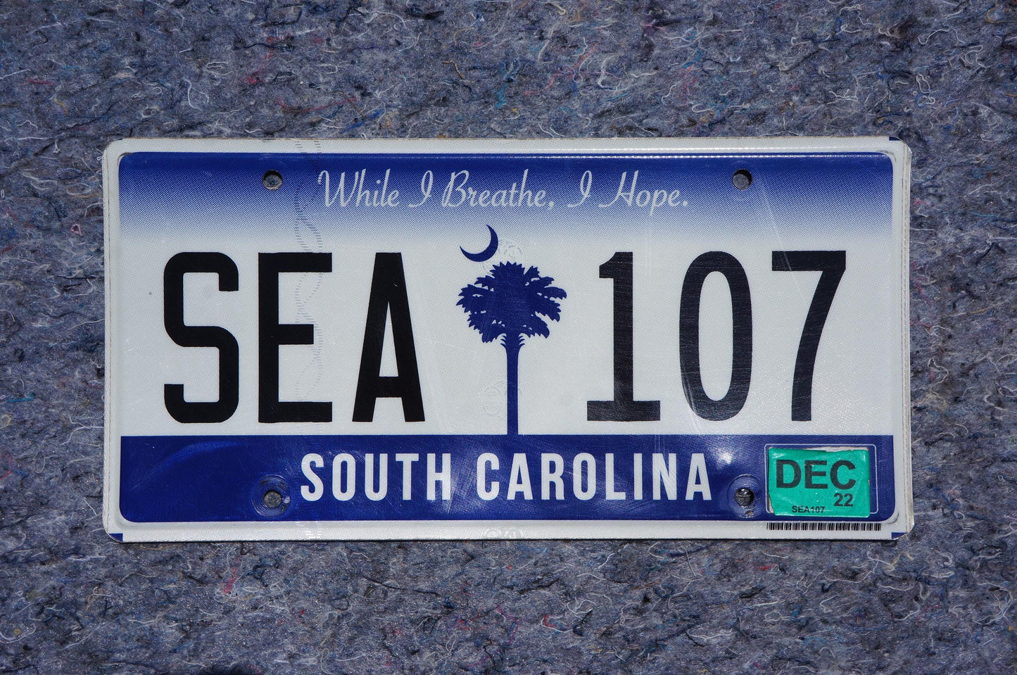 2022 South Carolina Palm Tree License Plate # SEA 107