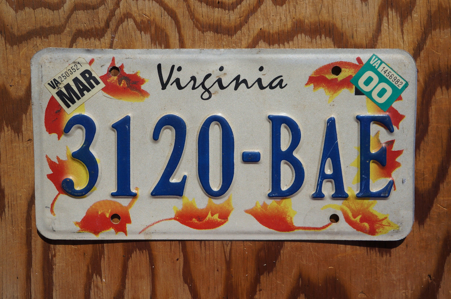 2000 Virginia Orange FALL LEAVES License Plate Autumn Decoration