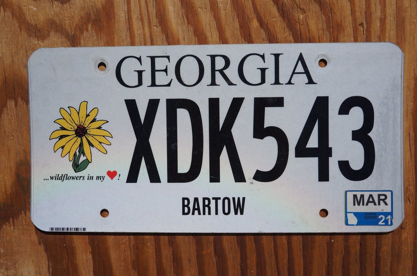2021 Georgia Wildflowers in my heart License Plate - Sunflower
