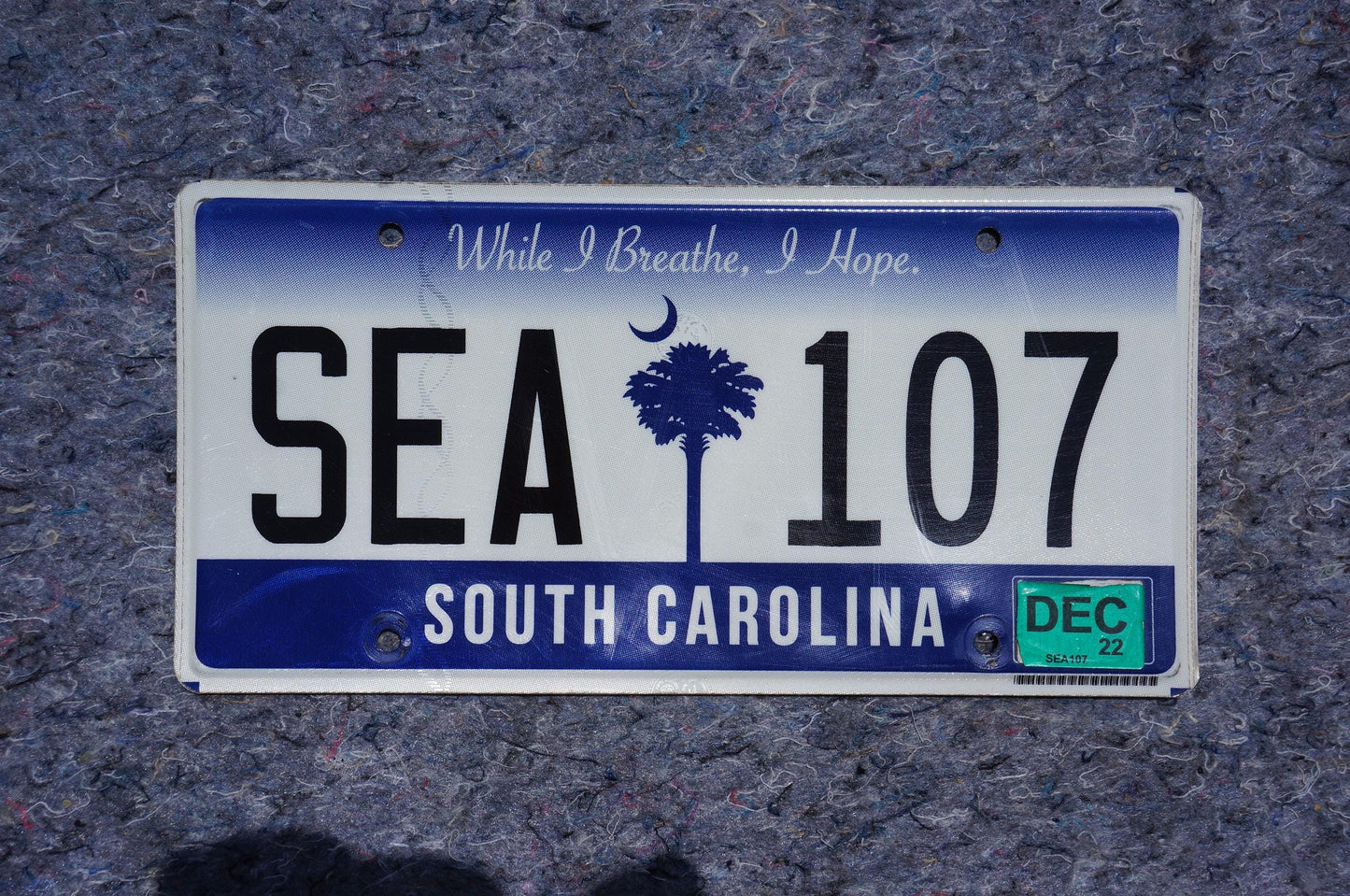 2022 South Carolina Palm Tree License Plate # SEA 107