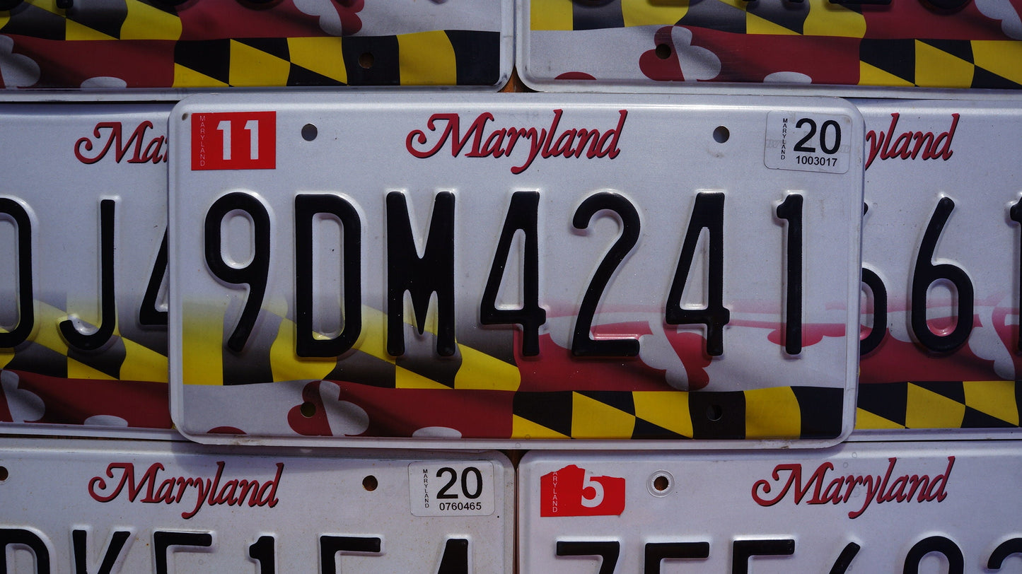 One or More - MARYLAND FLAG License Plate