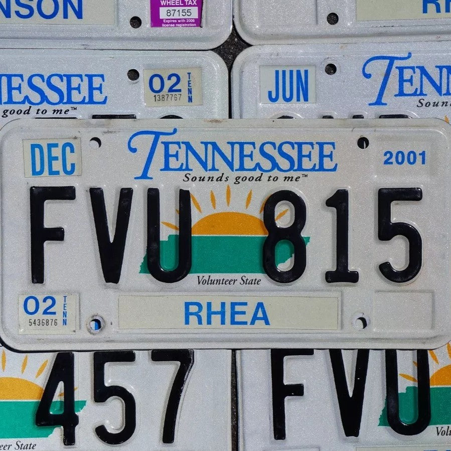 One or More - TENNESSEE SUN GRAPHIC EMBOSSED VINTAGE License Plate