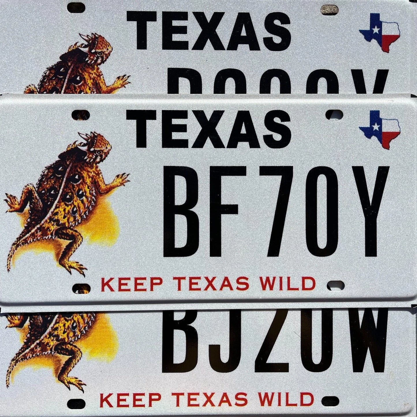Texas KEEP TEXAS WILD Graphic License Plate - HORNY TOAD - LIZARD