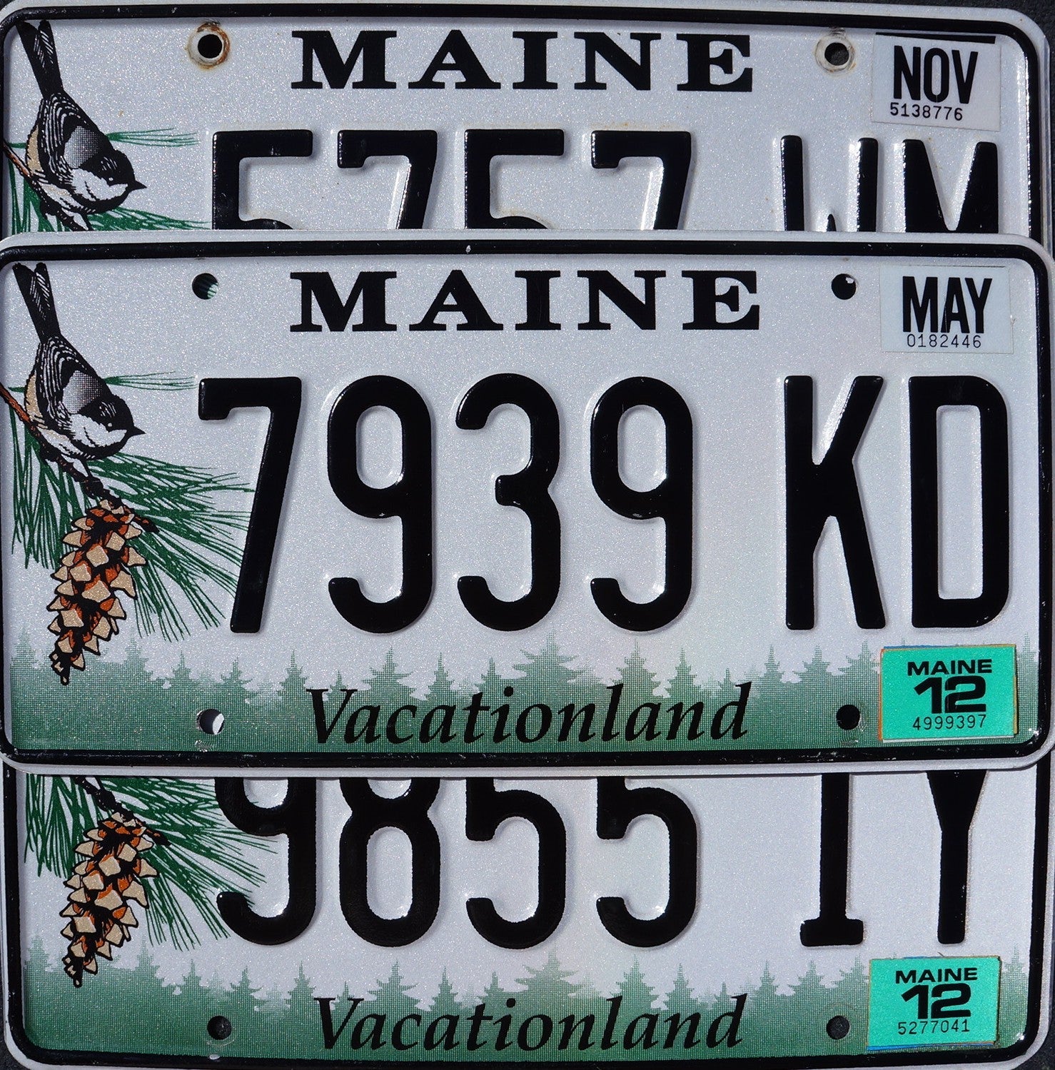 Maine License Plates