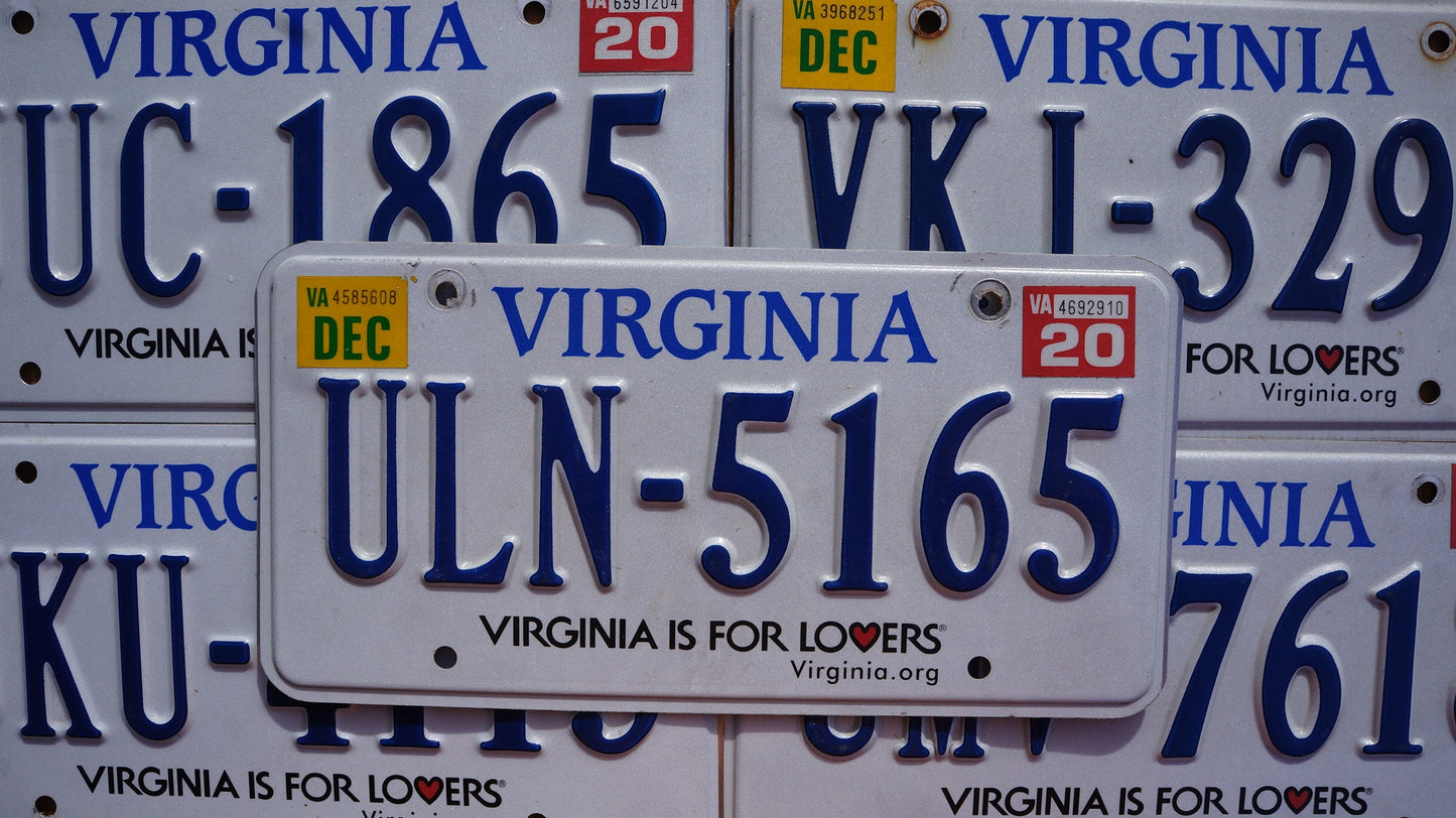 One or More - VIRGINIA License Plate - Virginia is for Lovers