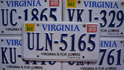 One or More - VIRGINIA License Plate - Virginia is for Lovers