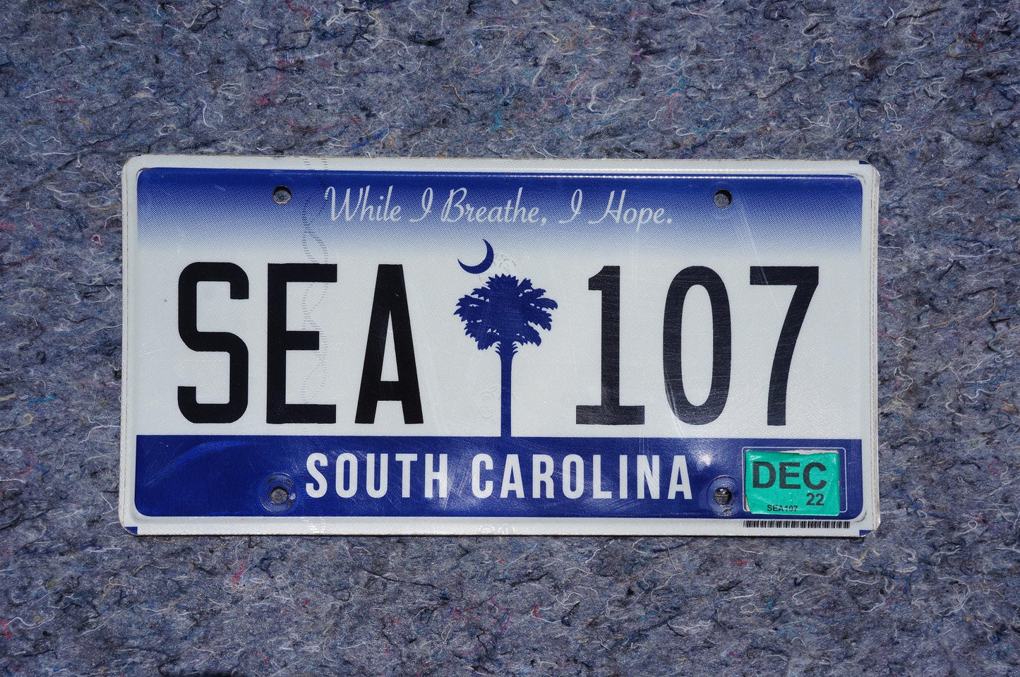 2022 South Carolina Palm Tree License Plate # SEA 107