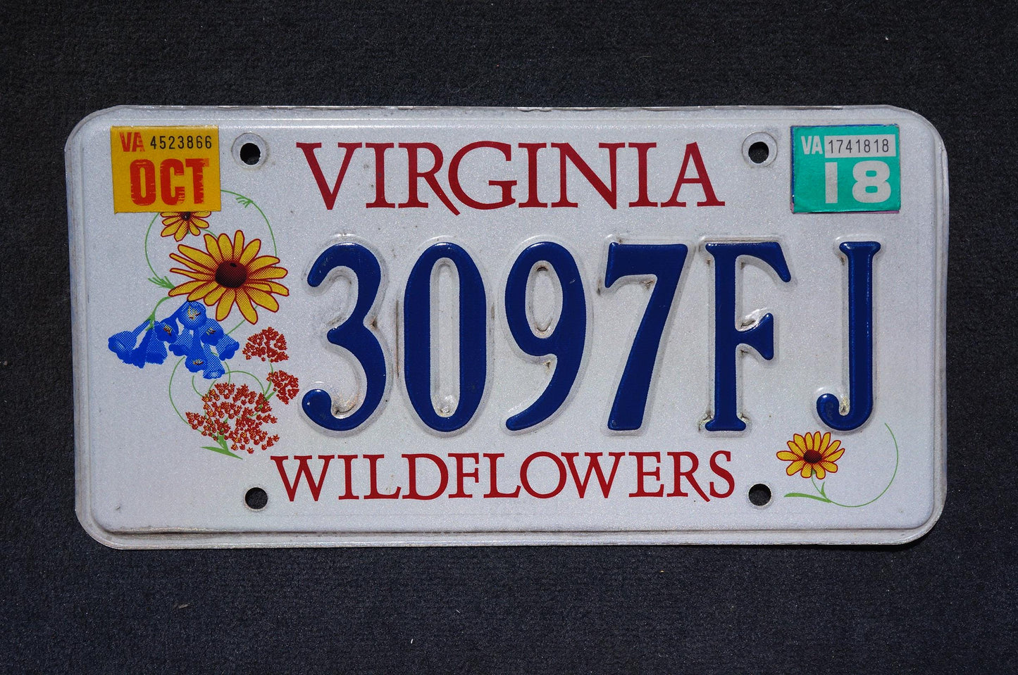2018 Virginia WILDFLOWERS Graphic License Plate