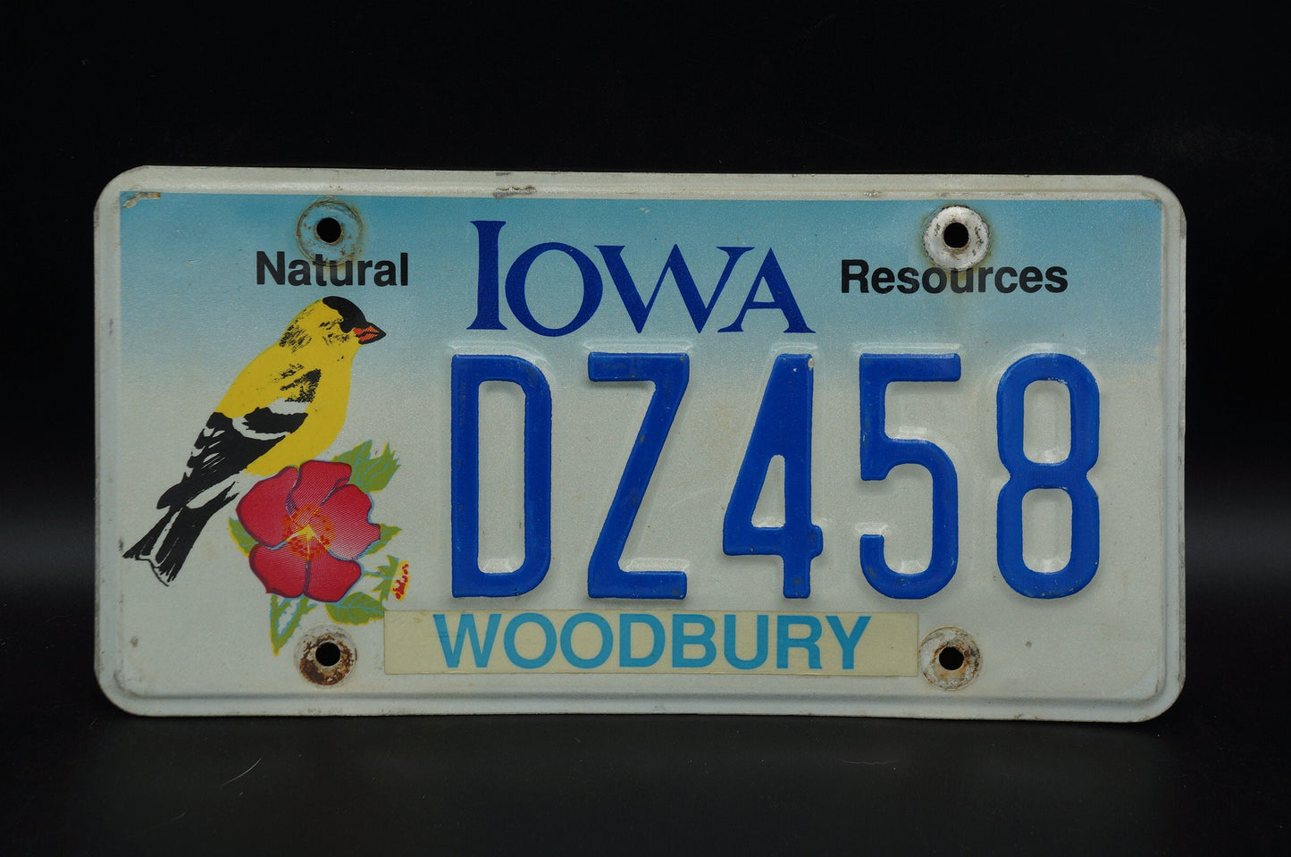 Iowa NATURAL RESOURCES Graphic License Plate - Yellow Bird Red Flower