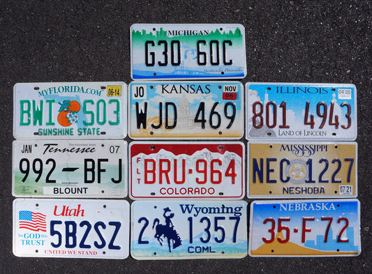 Lot of 10 GRAPHIC COLORFUL 10 States USA License Plates Tag Plate Set