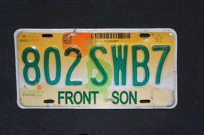 FRONT SON SONORA Mexico Colorful License Plate Mexican