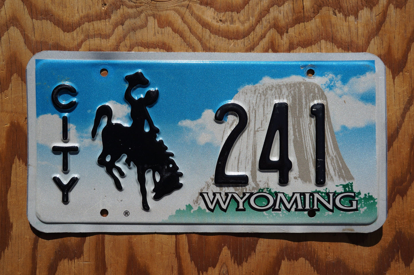 Wyoming CITY Rodeo Cowboy & Horse License Plate # 241