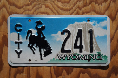 Wyoming CITY Rodeo Cowboy & Horse License Plate # 241