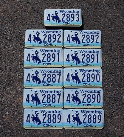 Lot of 20 Wyoming License Plates