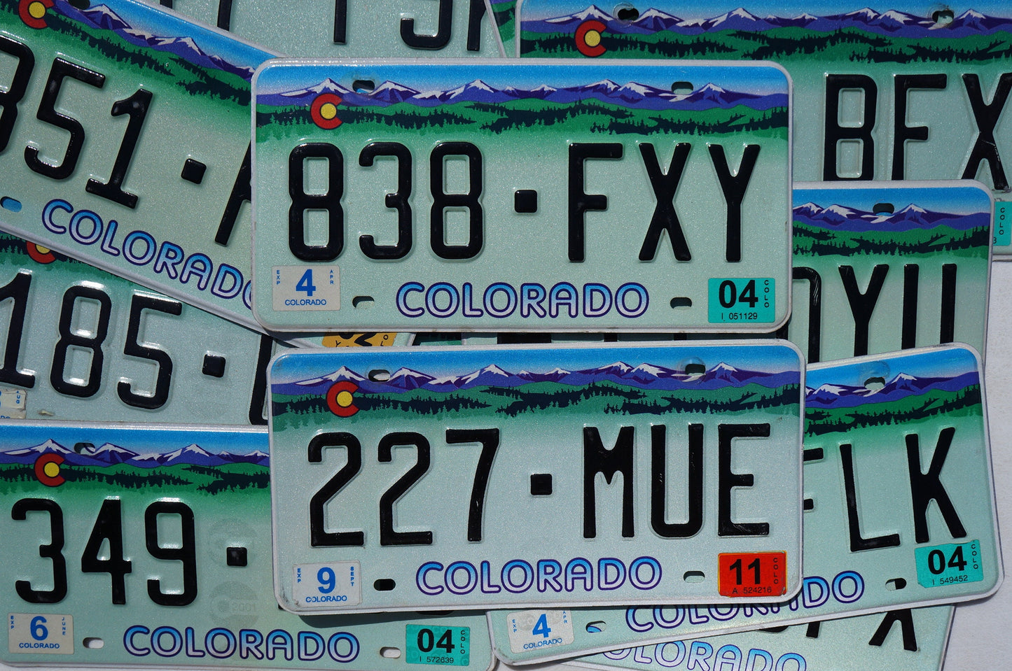 One or More - COLORADO PURPLE MOUNTAINS Truck License Plate