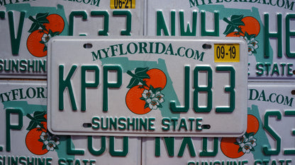 One or More - FLORIDA ORANGE License Plate - Sunshine State