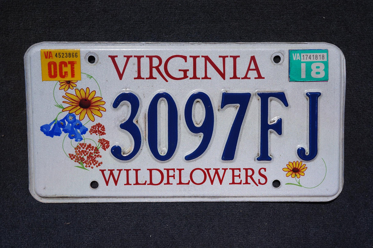 2018 Virginia WILDFLOWERS Graphic License Plate