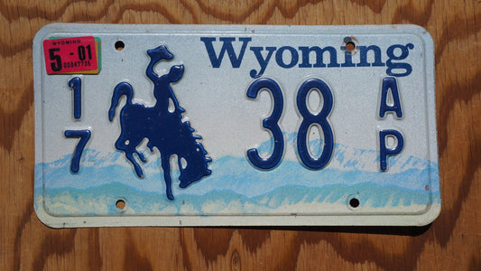 2001 Wyoming Rodeo Cowboy & Horse License Plate LOW # 38