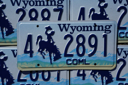 ONE or MORE Embossed WYOMING Rodeo Cowboy Horse License Plate Plates - Very Good Original