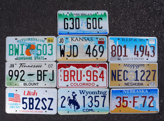 LOT of 10 License Plates COLORFUL & GRAPHIC USA Plate Tag GOOD Group