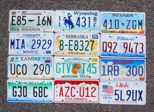 LOT of 12 COLORFUL & GRAPHIC License Plates USA License Plate Tag GOOD Group