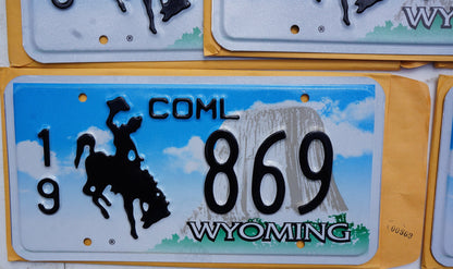 One or More Embossed WYOMING Cowboy & Horse Commercial License Plate + Envelope