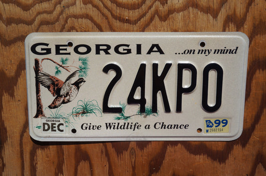 1999 Georgia Give Wildlife A Chance Bird Graphic License Plate