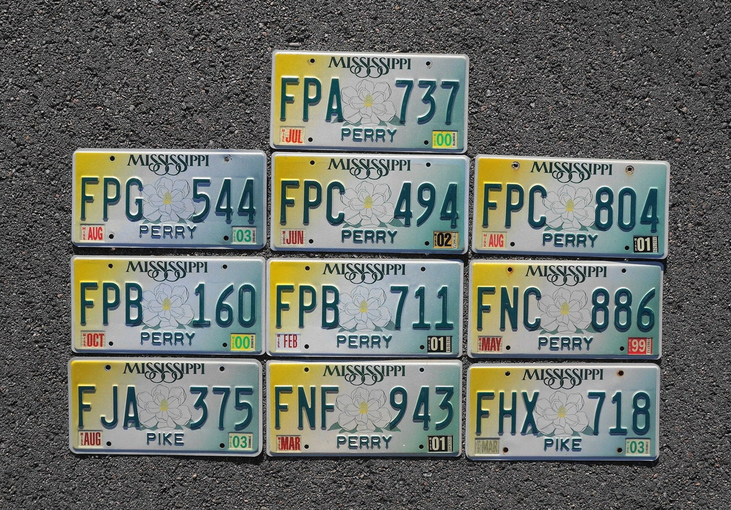 Mississippi Magnolia License Plates - Lot of 10 Graphic Tags